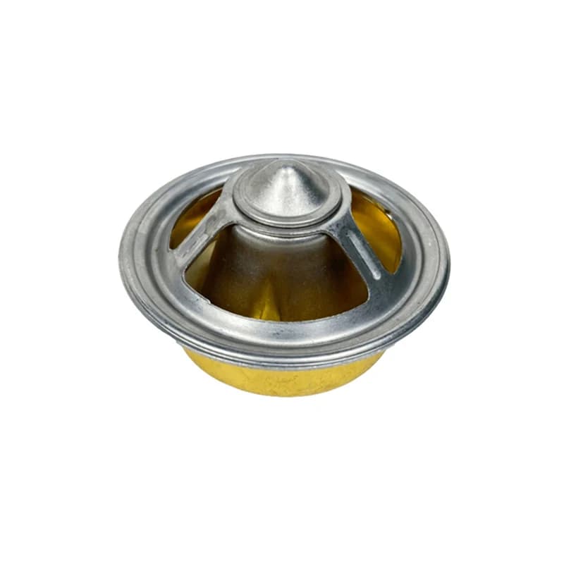 Thermostat DZ100555 replacement part photo 1
