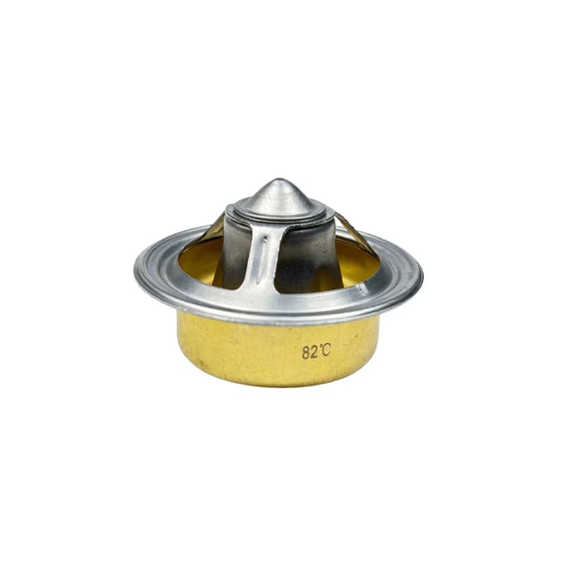 Thermostat DZ100555 replacement part photo 2
